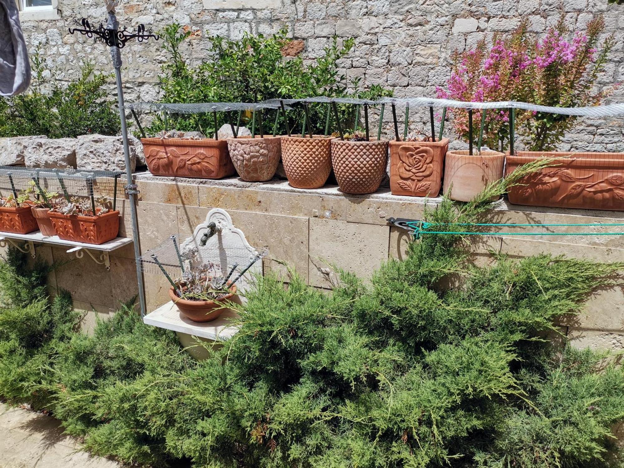 Apartment Alena With Terrace And Garden Center Jelsa ييلسا المظهر الخارجي الصورة